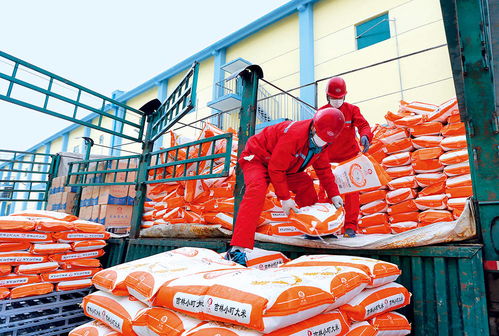 瞭望 扶貧要避免政策沒(méi)了,企業(yè)走了,項(xiàng)目黃了 專(zhuān)訪首農(nóng)食品集團(tuán)董事 首農(nóng)股份公司董事長(zhǎng)尹彥勛