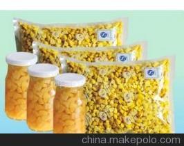 供應速凍糖水栗丁 甜栗 產品詳情與廠家介紹